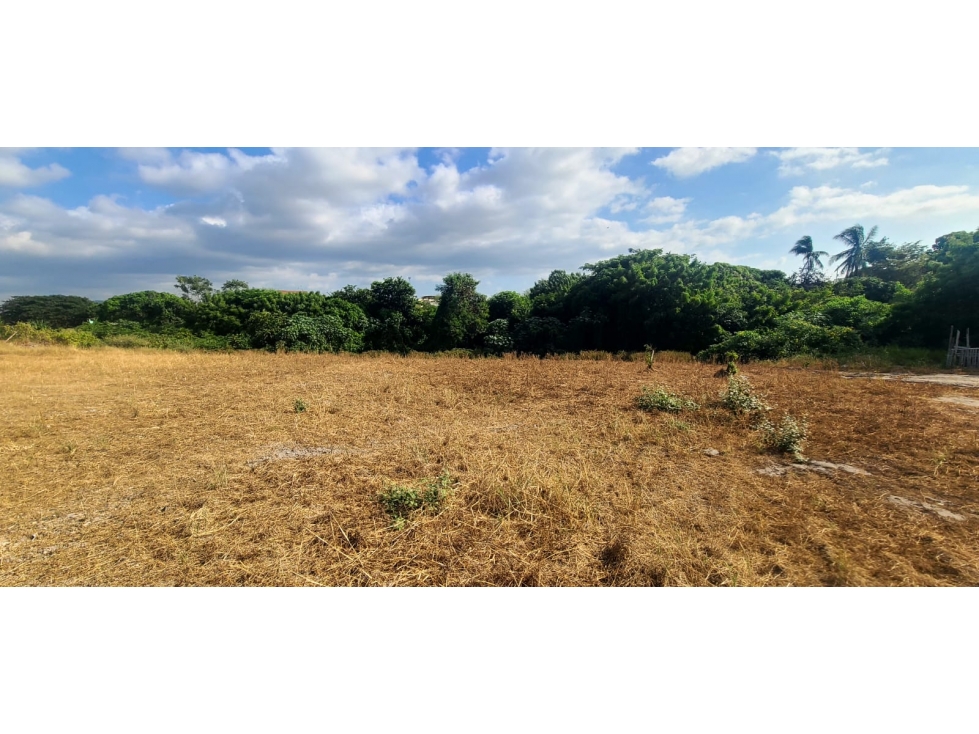 En venta Macrolote para proyectos inmobiliarios Manta Ecuador. - 5