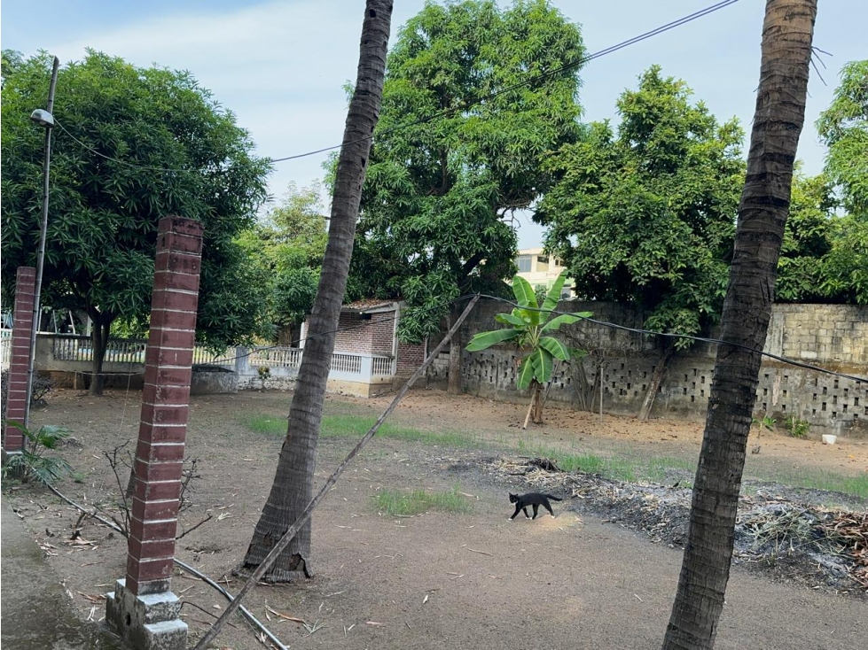 Terreno en Km 24 vía Daule a 50metros del Zoológico Pantanal - 2