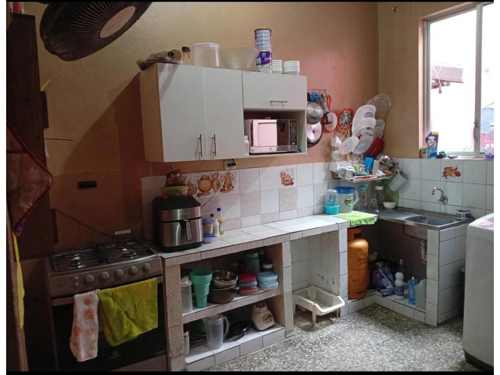 FLORESTA 1 — foto 4
