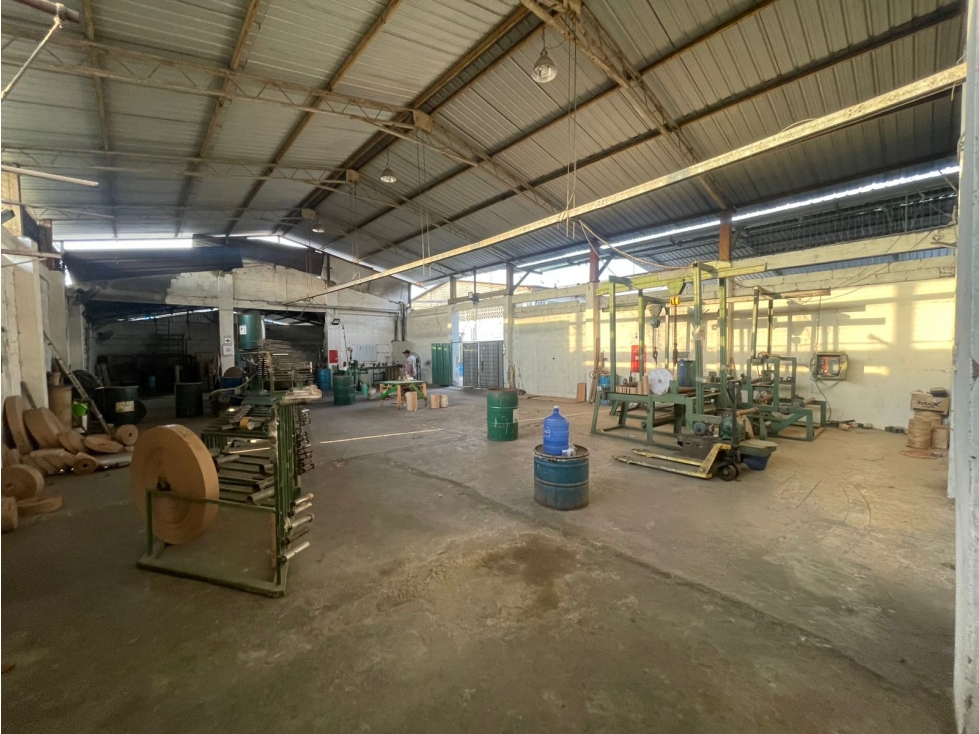 GALPON INDUSTRIAL VERGELES