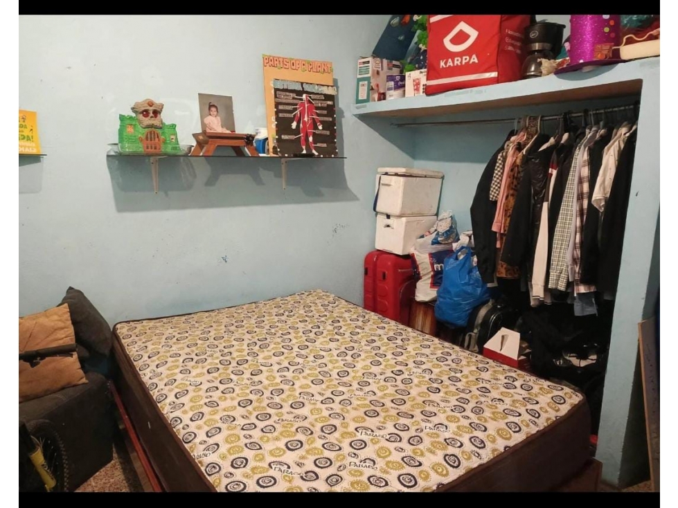 FLORESTA 1 — foto 5