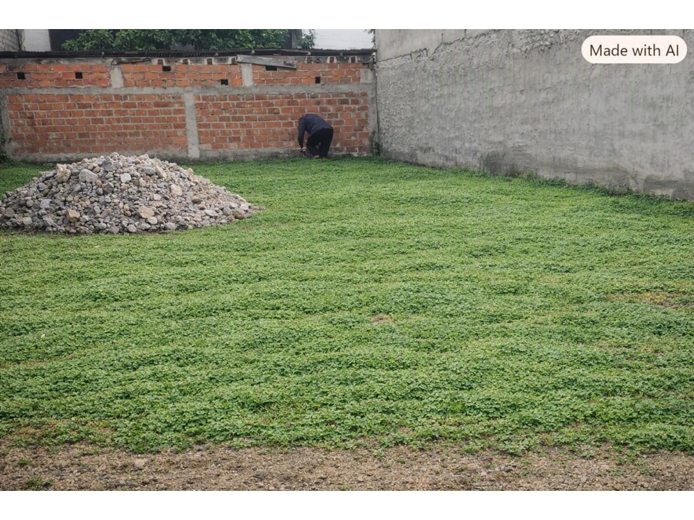 TERRENO EN EL SUR A UNA CUADRA DE LA AV. 25 JULIO - 3