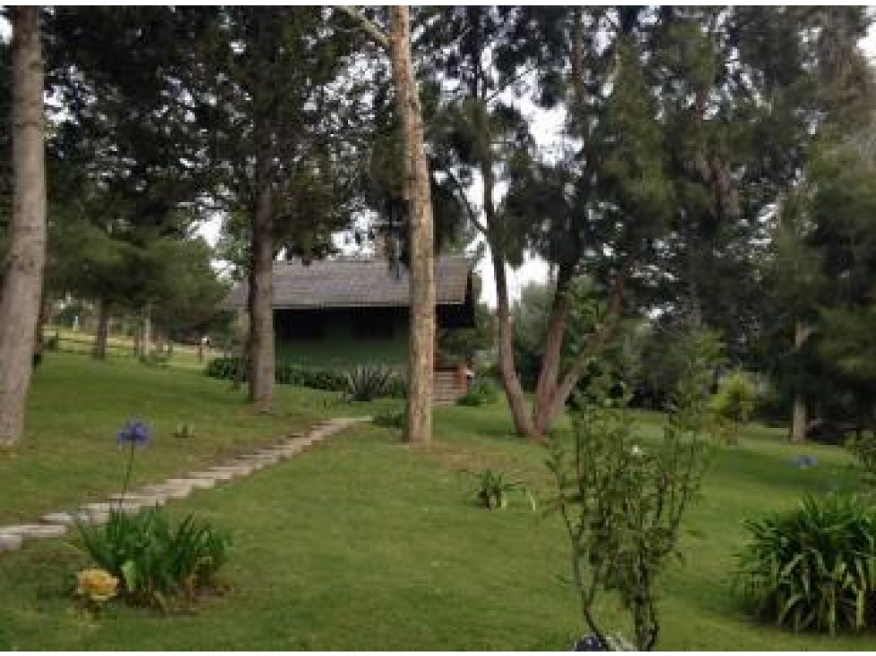 Quito Checa Tola Alta Terreno en Venta Oportunidad Única - 6