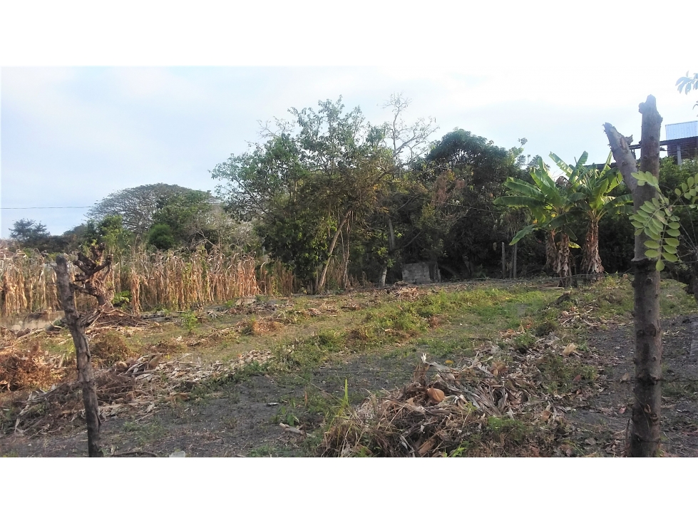 VENDO TERRENO 426 M2, TONSUPA, ESMERALDAS, ECUADOR - 2