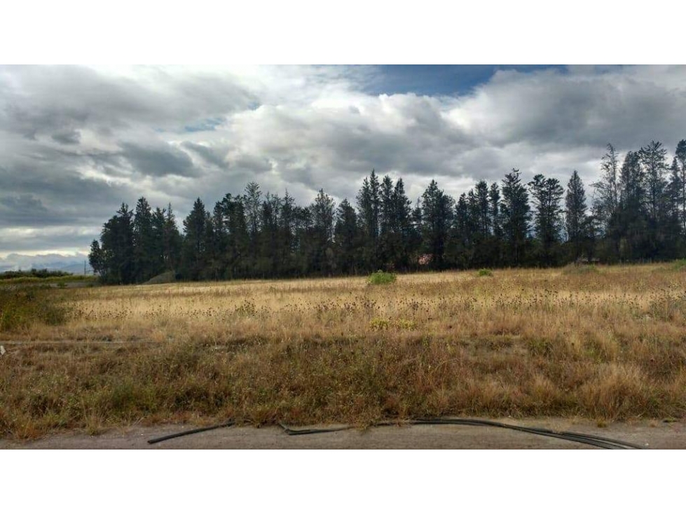 VENTA TERRENO COMERCIAL 6.7 HECTÁREAS EL QUINCHE, TUMBACO - 4