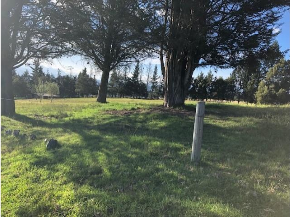 Quito Checa Tola Alta Terreno en Venta Oportunidad Única - 4