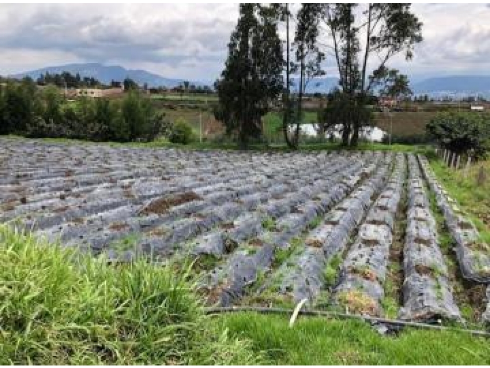 Terrenos de Venta Quito Yaruqui para Industria de Mediano Impacto — foto 2