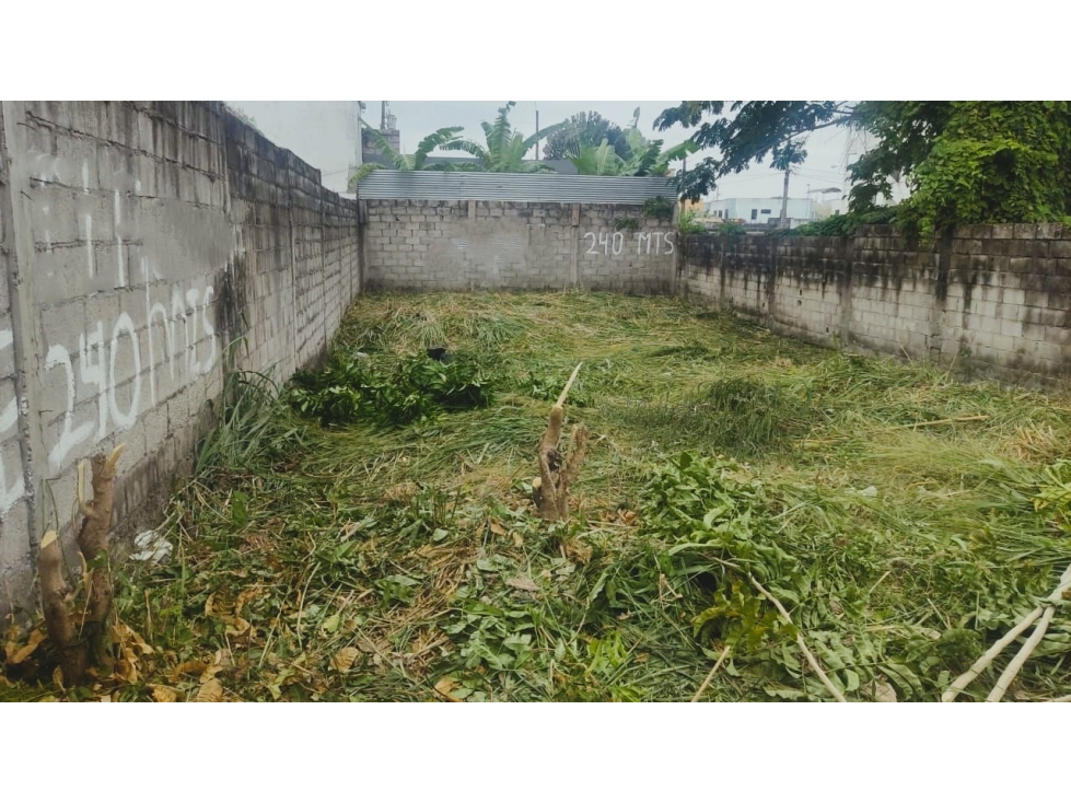VENDO TERRENO 240 M2 SECTOR CASTELNUOVO, TONSUPA, ESMERALDAS, ECUADOR - 4
