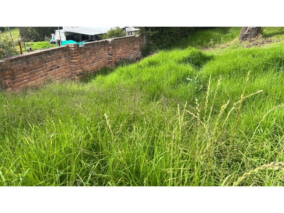 VENTA DE TERRENO 15.000m2 EL QUINCHE Quito Ecuador - 4