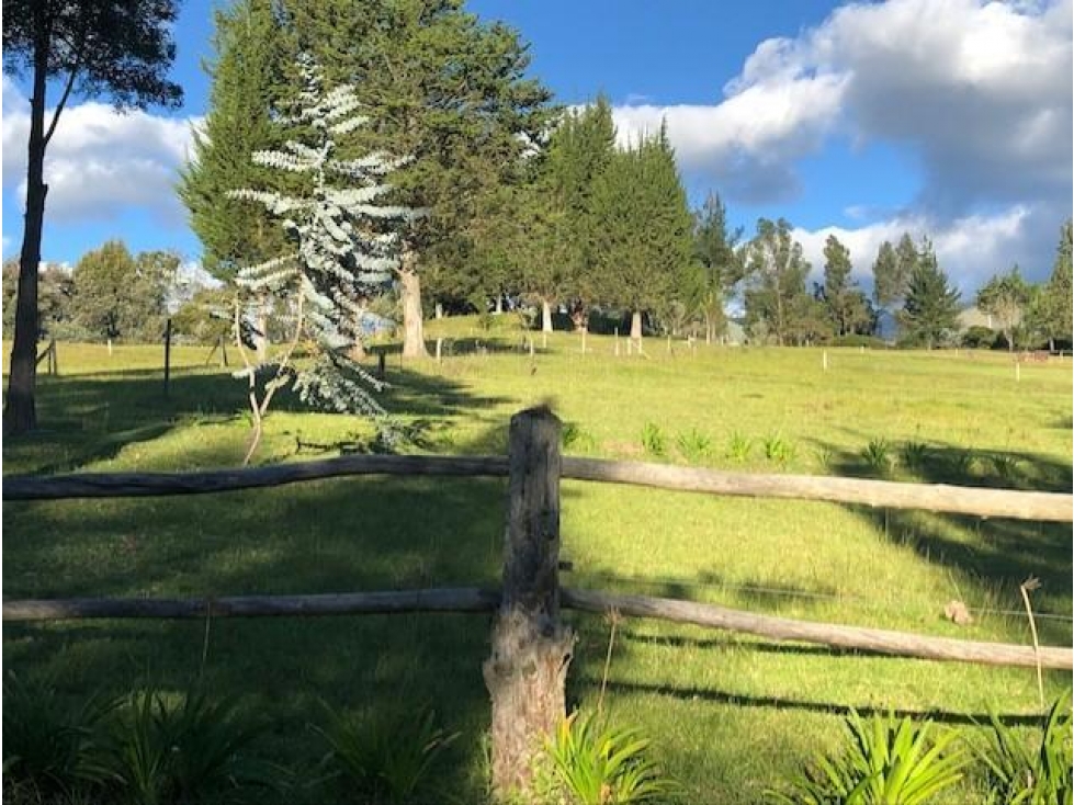Quito Checa Tola Alta Terreno en Venta Oportunidad Única - 3
