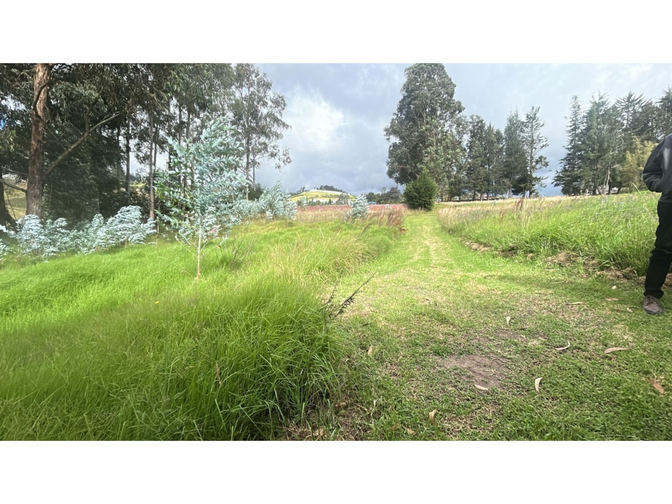 VENTA DE TERRENO 15.000m2 EL QUINCHE Quito Ecuador - 5