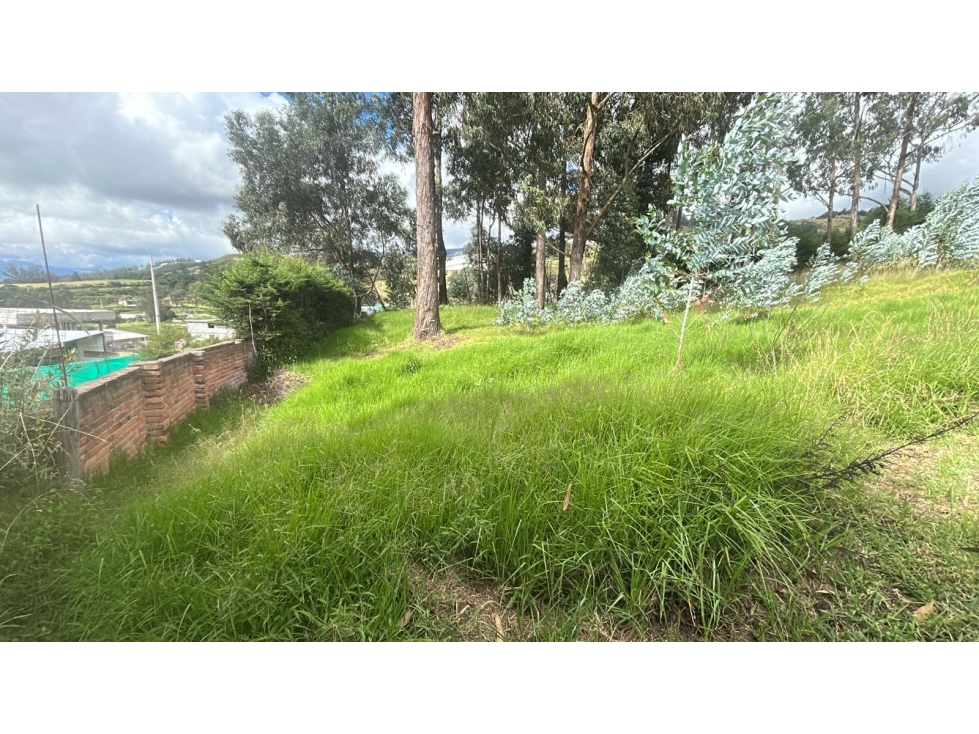 VENTA DE TERRENO 15.000m2 EL QUINCHE Quito Ecuador - 6