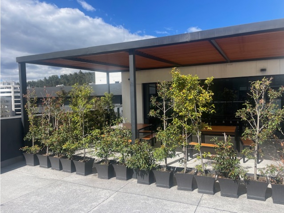 ARRIENDO OFICINAS EJECUTIVAS 155 M2 EDIFICIO CORPORATIVO — foto 6