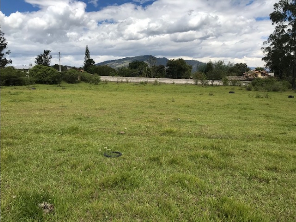 VENDO TERRENO PUEMBO 7152 M2 PLANOS SECTOR COLEGIOS USO MULTIPLE - 1