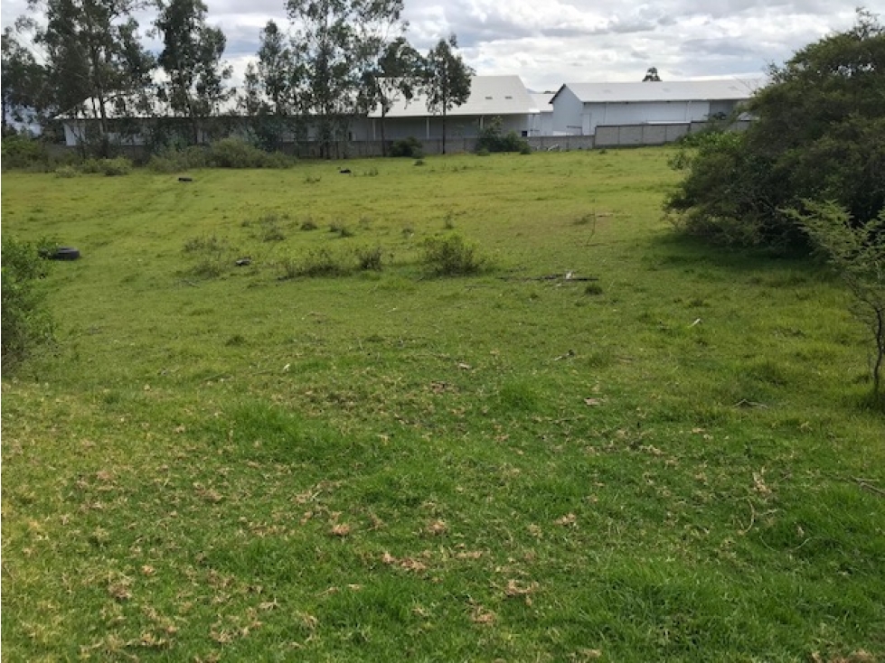 VENDO TERRENO PUEMBO 7152 M2 PLANOS SECTOR COLEGIOS USO MULTIPLE - 2