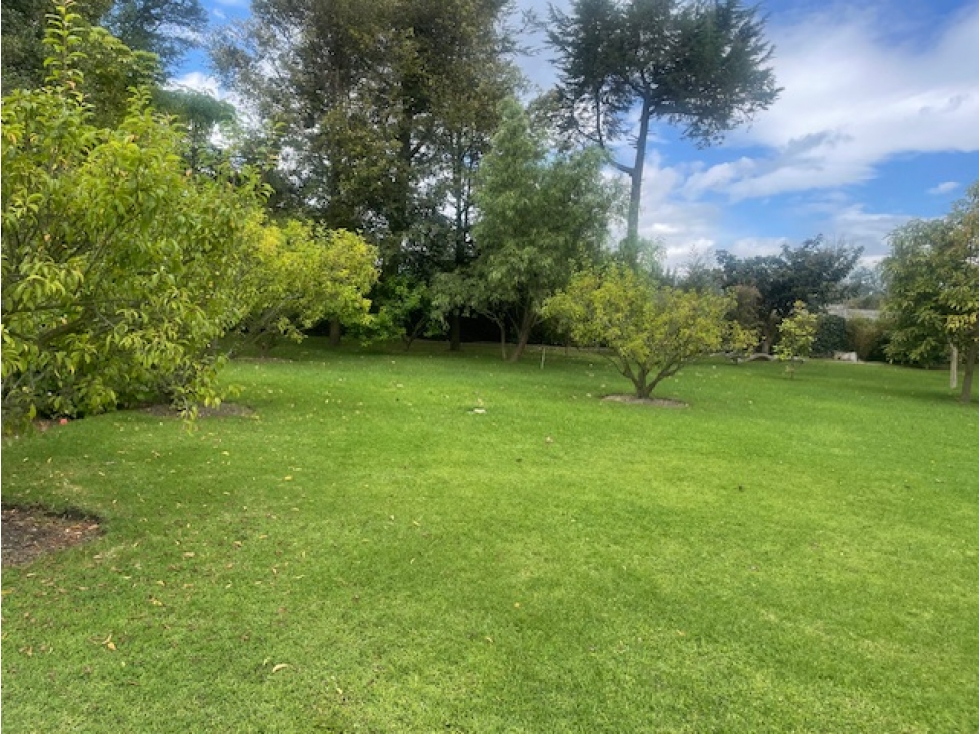 VENTA TERRENO 1214 M2 EN PUEMBO SECTOR COLEGIOS - 2