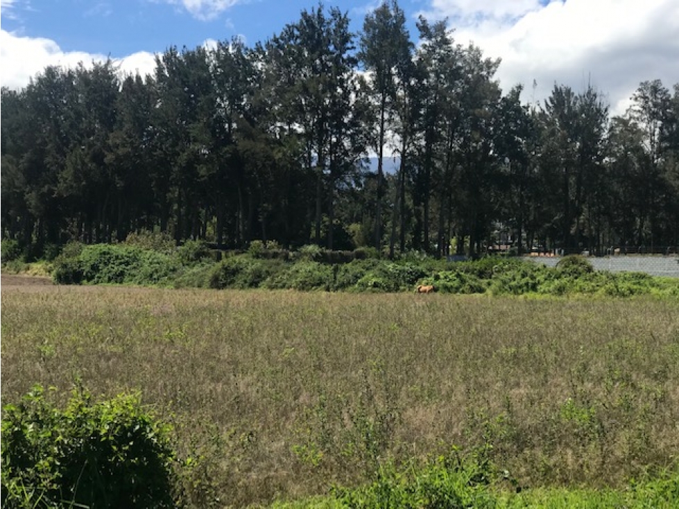 VENTA TERRENO 4.600 M2 EN PUEMBO CERCA CLUB ARRAYANES - 2