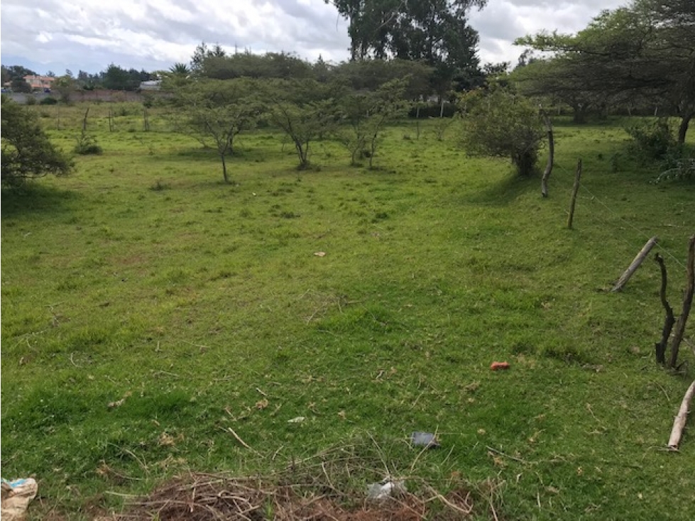 VENDO TERRENO PUEMBO 7152 M2 PLANOS SECTOR COLEGIOS USO MULTIPLE - 3