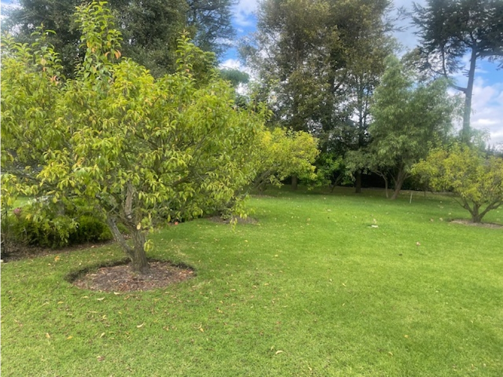 VENTA TERRENO 1214 M2 EN PUEMBO SECTOR COLEGIOS - 3