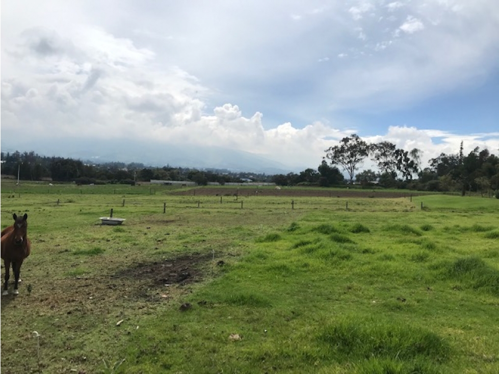 Terreno de 19,590 m² en el Sector Puembo - La Palma. - 1