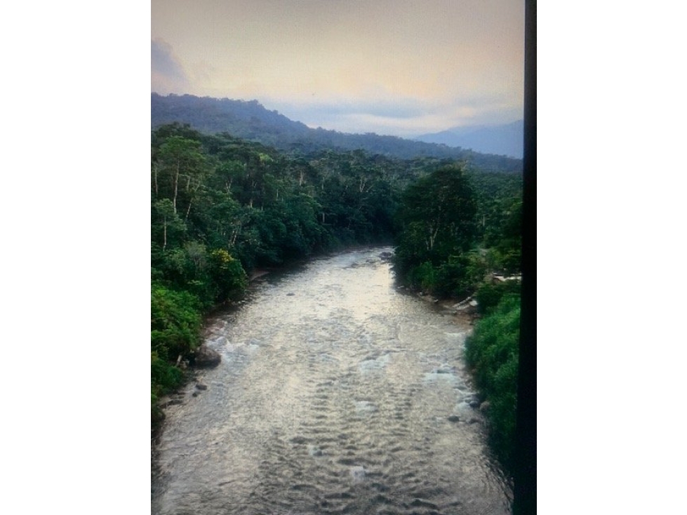 Terreno de 32 Hectáreas en Tena, Provincia de Napo - 2