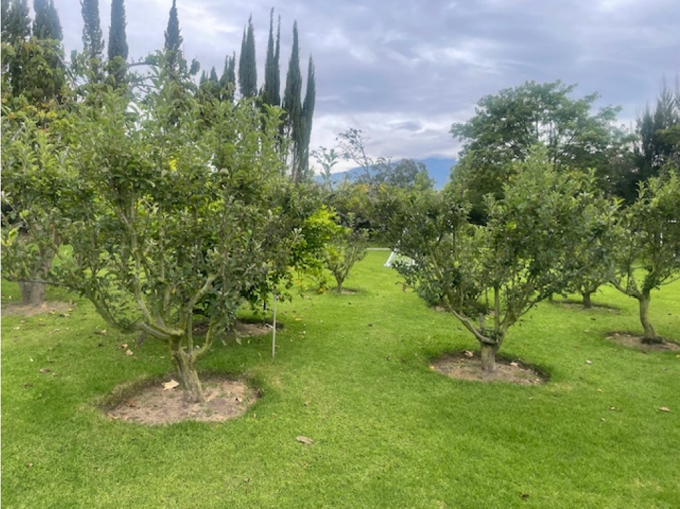 VENTA TERRENO 1214 M2 EN PUEMBO SECTOR COLEGIOS - 4