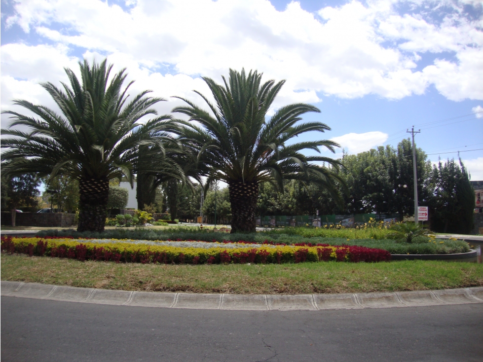 VENTA TERRENO 4.600 M2 EN PUEMBO CERCA CLUB ARRAYANES - 4