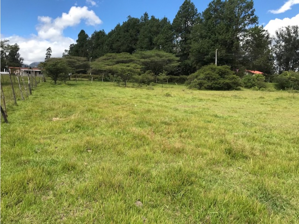 VENDO TERRENO PUEMBO 7152 M2 PLANOS SECTOR COLEGIOS USO MULTIPLE - 5