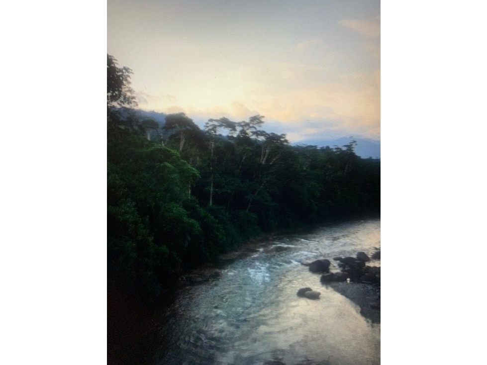 Terreno de 32 Hectáreas en Tena, Provincia de Napo - 3