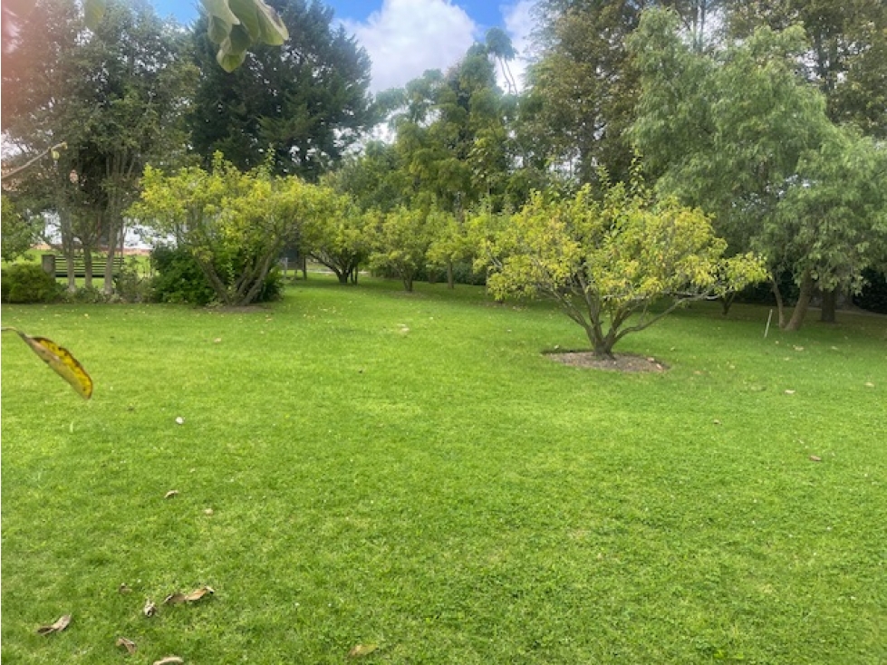 VENTA TERRENO 1214 M2 EN PUEMBO SECTOR COLEGIOS - 5