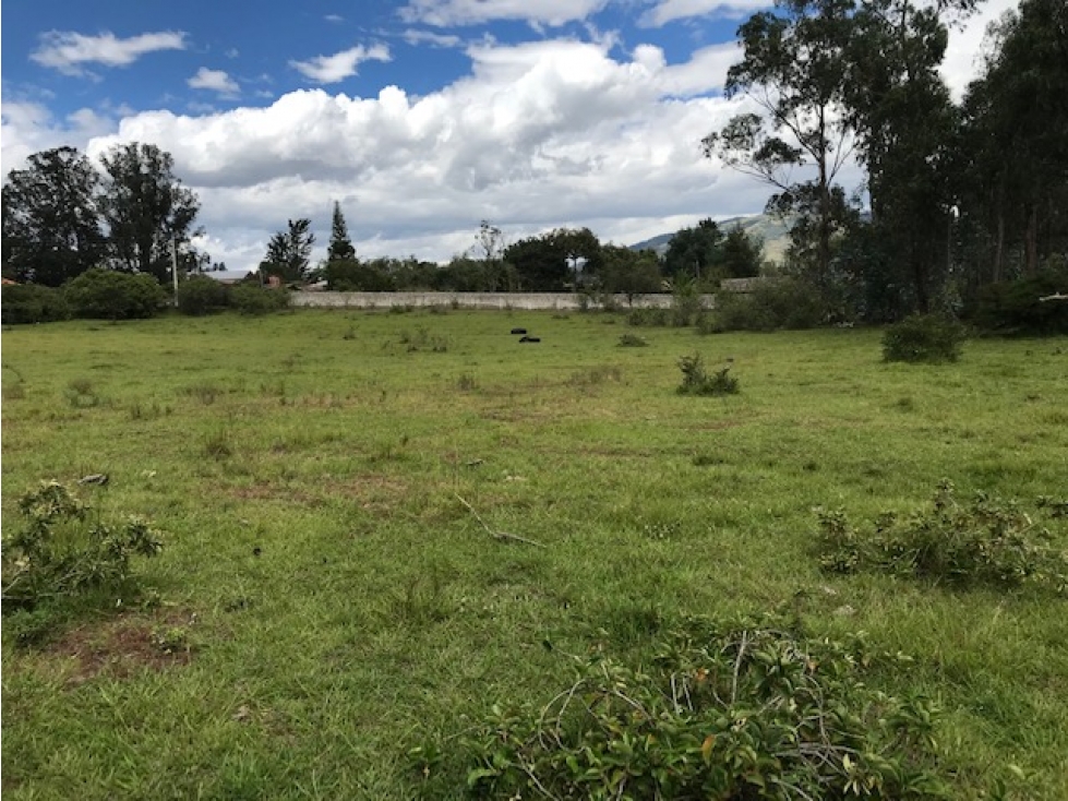 VENDO TERRENO PUEMBO 7152 M2 PLANOS SECTOR COLEGIOS USO MULTIPLE - 6