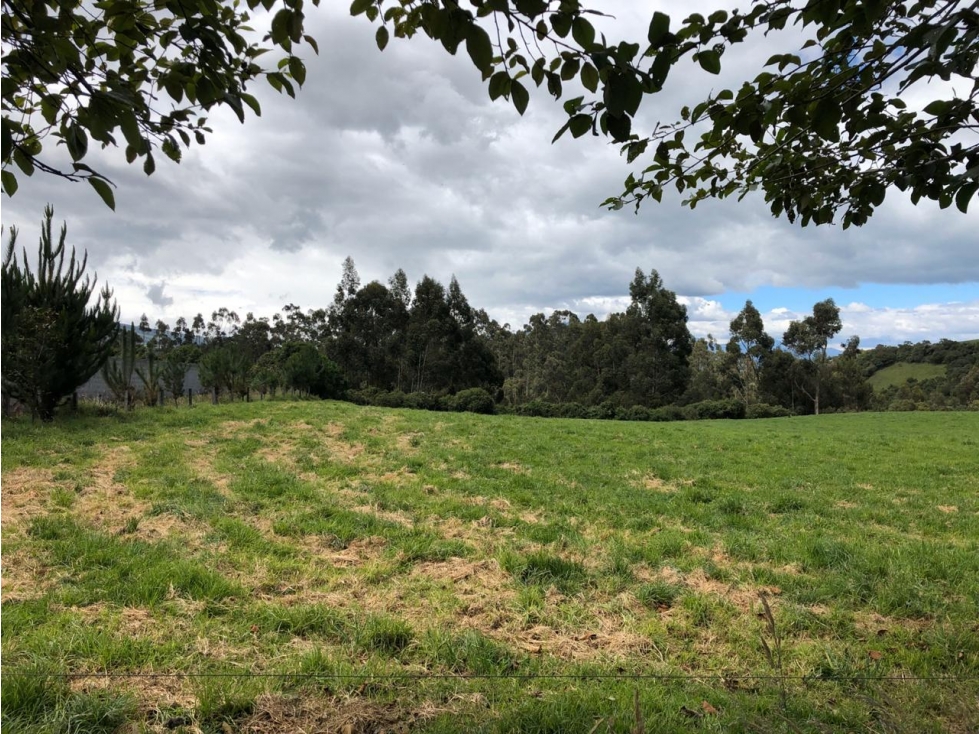 Hacienda Machachi 25 hectáreas, ubicación privilegiada. Mucha Agua - 5
