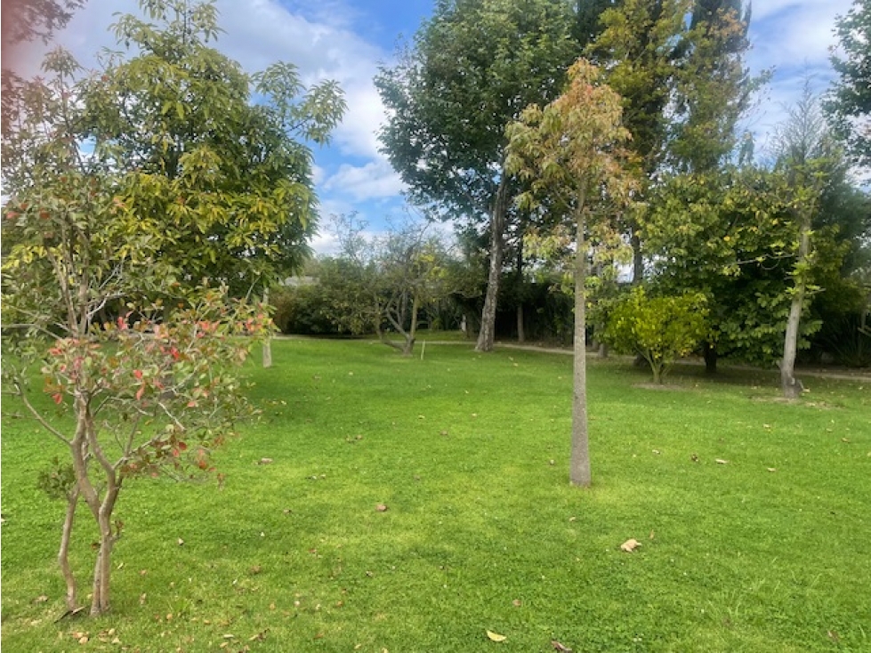 VENTA TERRENO 1214 M2 EN PUEMBO SECTOR COLEGIOS - 6