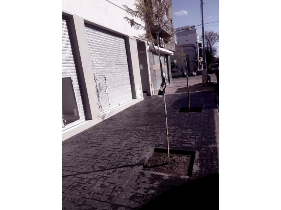 Local a la Calle a Estrenar, Mar del Plata Moreno 3400 — foto 5