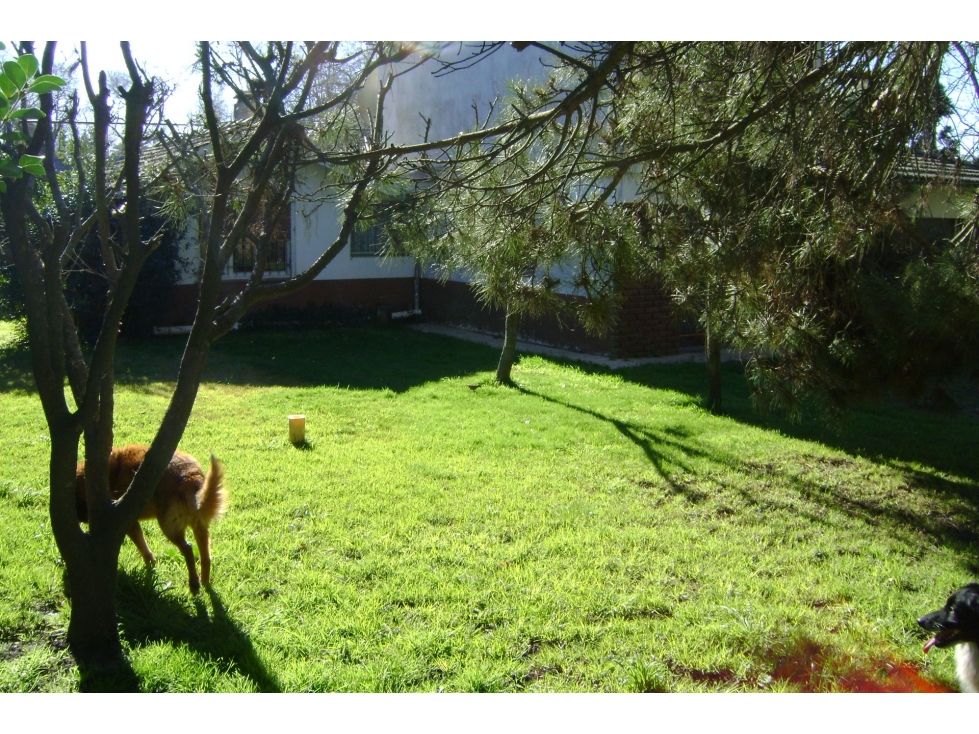 VENTA CHALET DE 3 AMB EN COLINA ALEGRE - APTO CREDITO — foto 4
