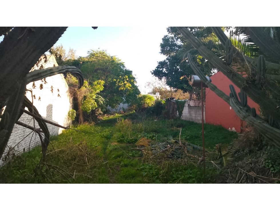 Vendo terreno en Paso del Rey centro - 4