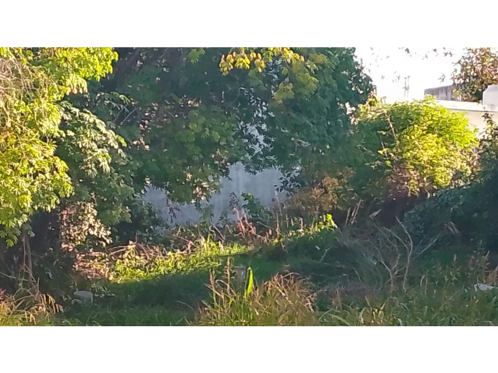 Vendo terreno en Paso del Rey centro - 5