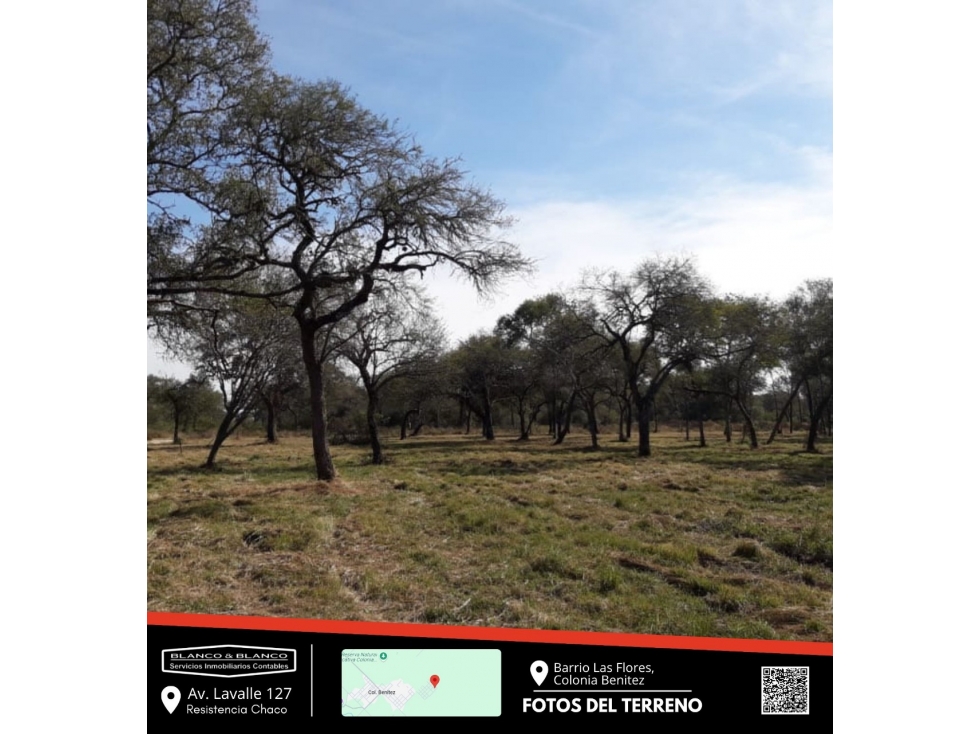 ¡ÃLTIMOS LOTES EN VENTA! Barrio Las Flores Colonia BenÃtez - 2