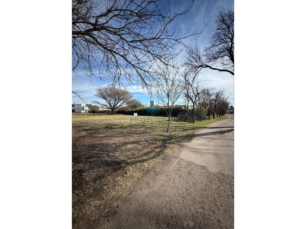 VENTA-LOTES EN JARDINES DEL LAGO-SINSACATE - 4