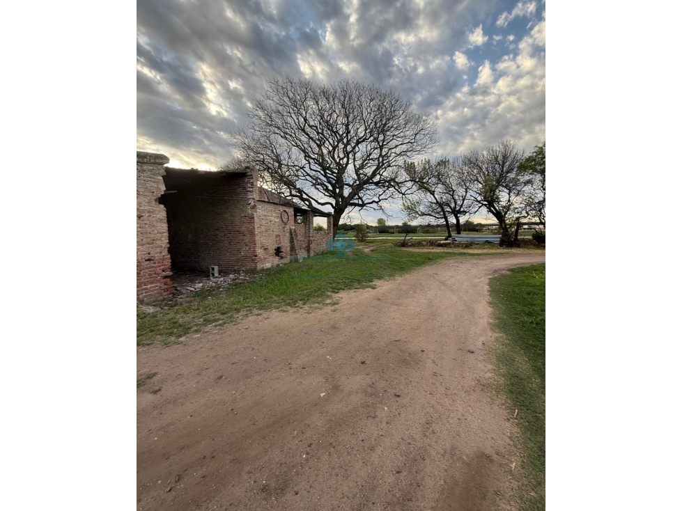 VENTA CAMPO / LOTE DE 5.83 HECTÁREAS COLONIA CAROYA - 4