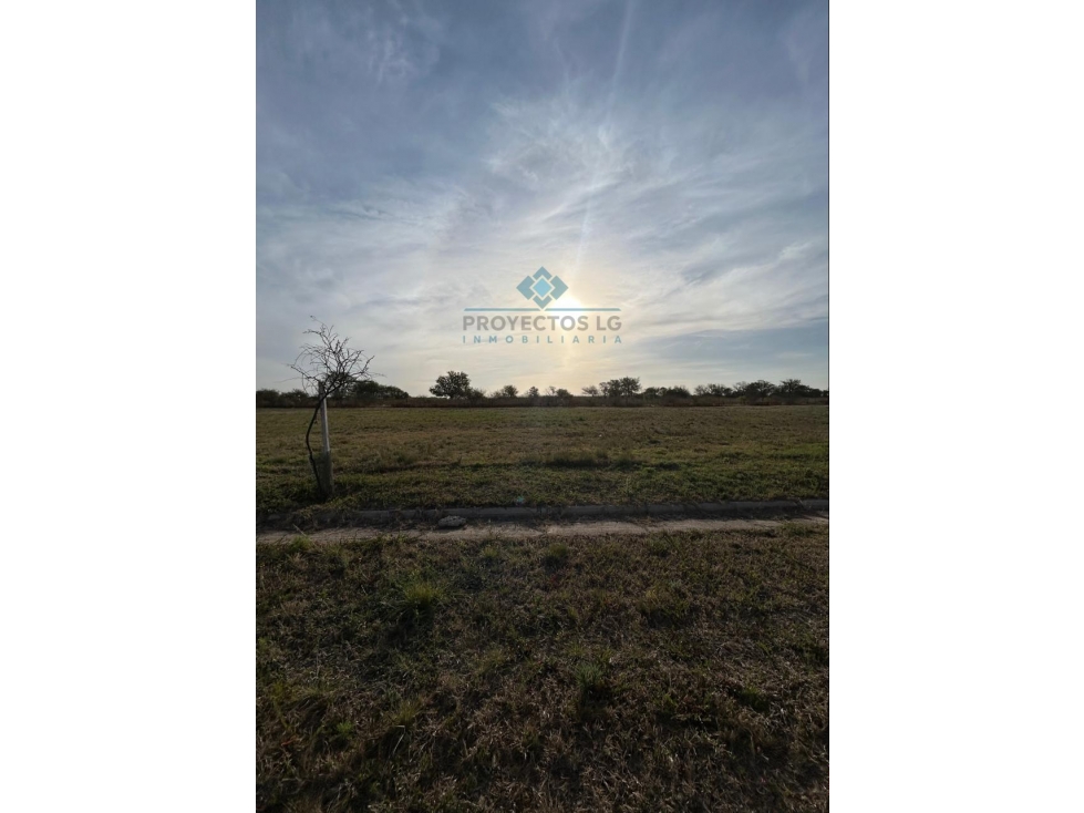VENTA - LOTES 2000 M2 - COLINAS DE SINSACATE - 5