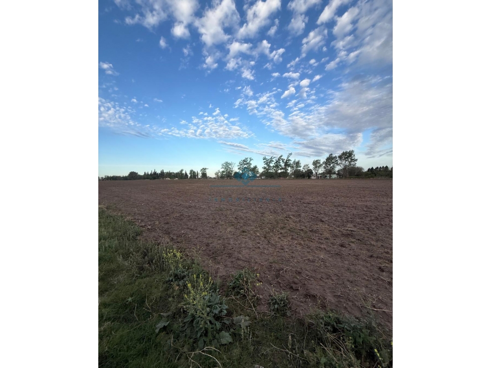 VENTA CAMPO / LOTE DE 5.83 HECTÁREAS COLONIA CAROYA - 5