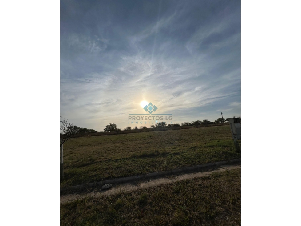 OPORTUNIDAD LOTE 2000 M2 | SINSACATE - 2