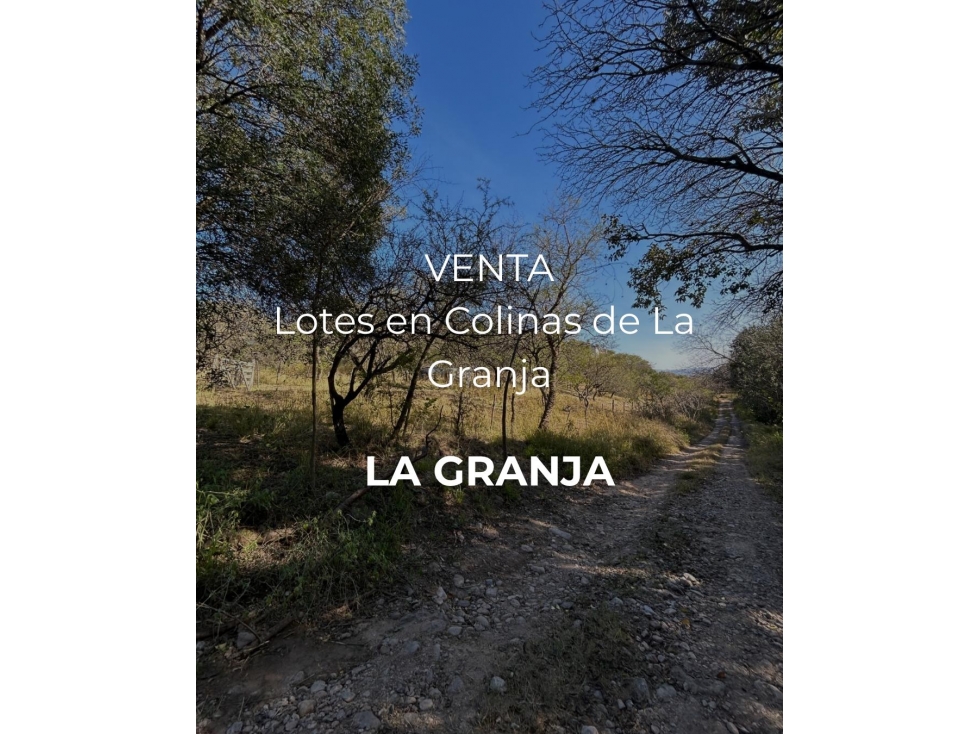 VENTA-2 TERRENOS EN COLINAS DE LA GRANJA-LA GRANJA - 1
