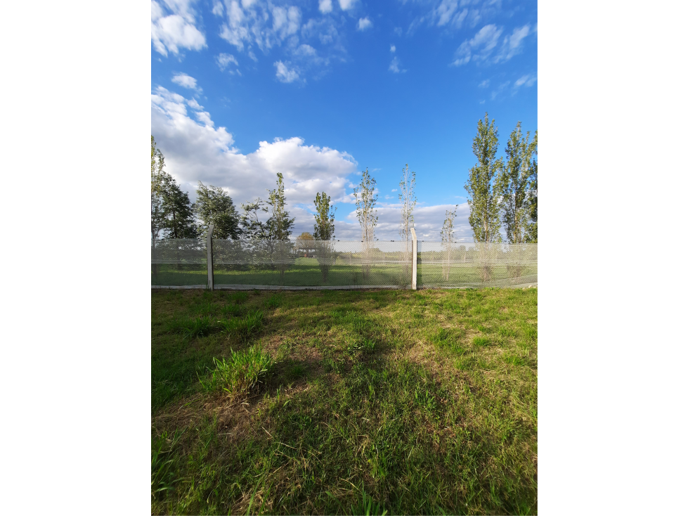 VENTA-LOTES COLONIA CAROYA CALLE 40-ESCRITURAS - 3
