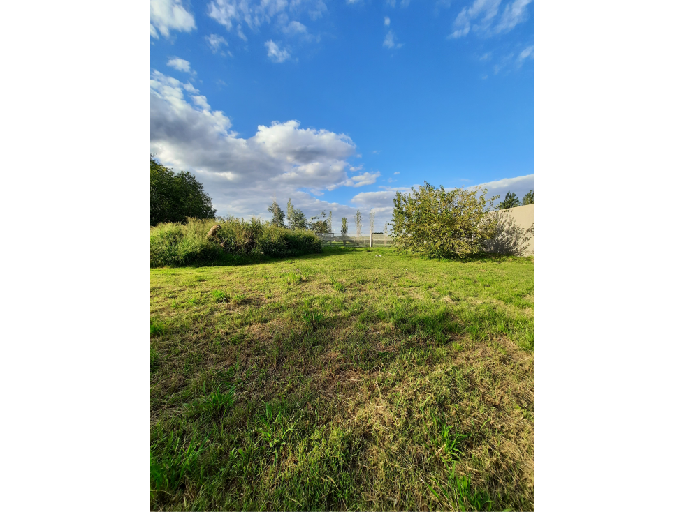 VENTA-LOTES COLONIA CAROYA CALLE 40-ESCRITURAS - 2