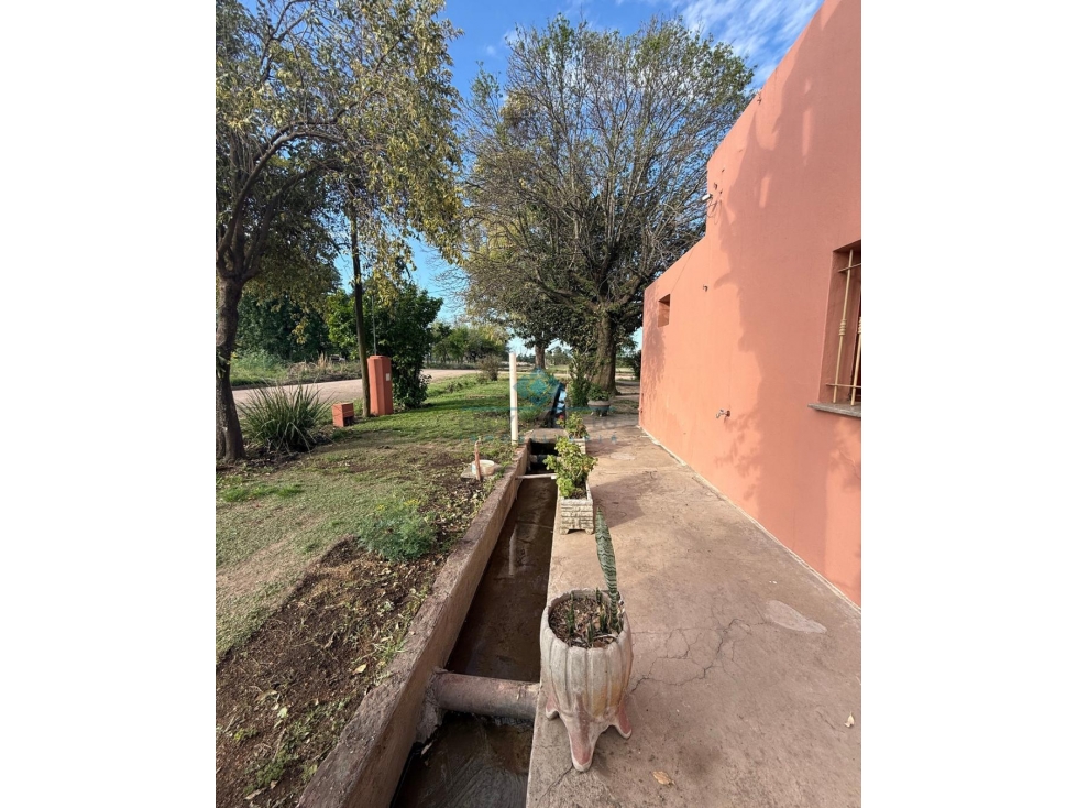 VENTA 2 CASAS QUINTA- 12,67 HECTÁREAS COLONIA CAROYA - 2