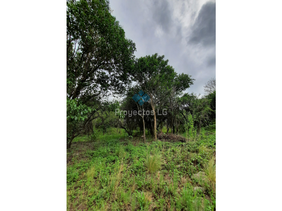 VENTA- LOTES DE 280 M2 Y 560 M2, VILLA ANIMI, LA GRANJA - 2