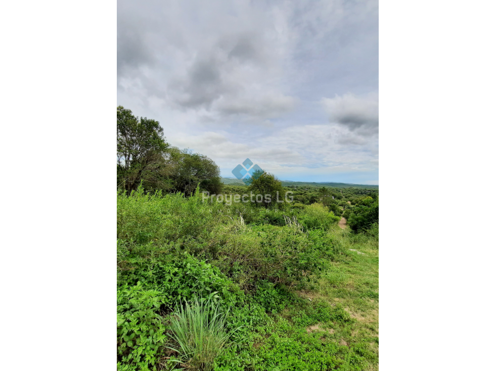 VENTA- LOTES DE 280 M2 Y 560 M2, VILLA ANIMI, LA GRANJA - 3