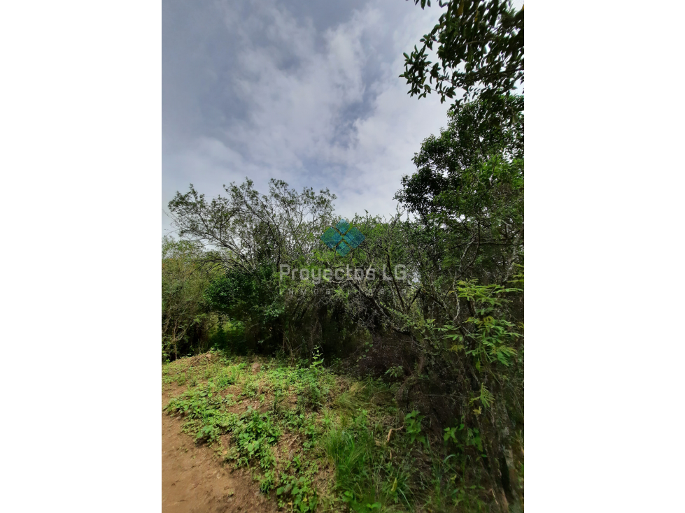 VENTA- LOTES DE 280 M2 Y 560 M2, VILLA ANIMI, LA GRANJA - 4